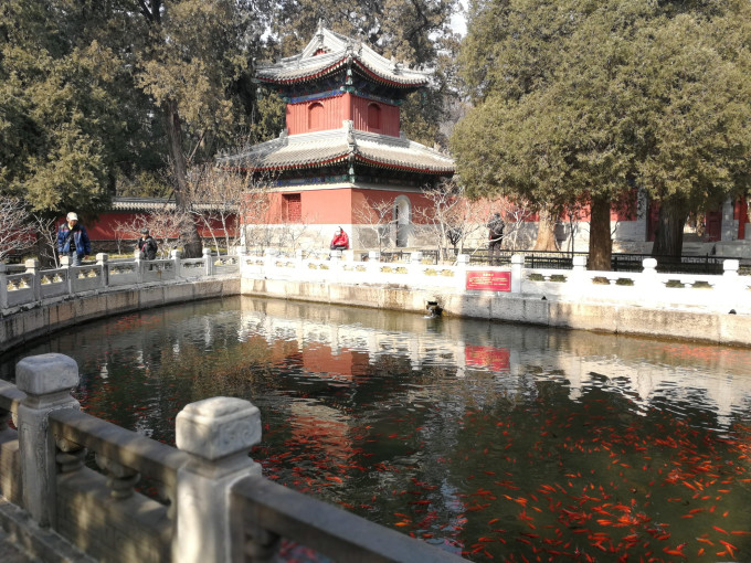 【仅图】北京植物园(园区,卧佛寺)